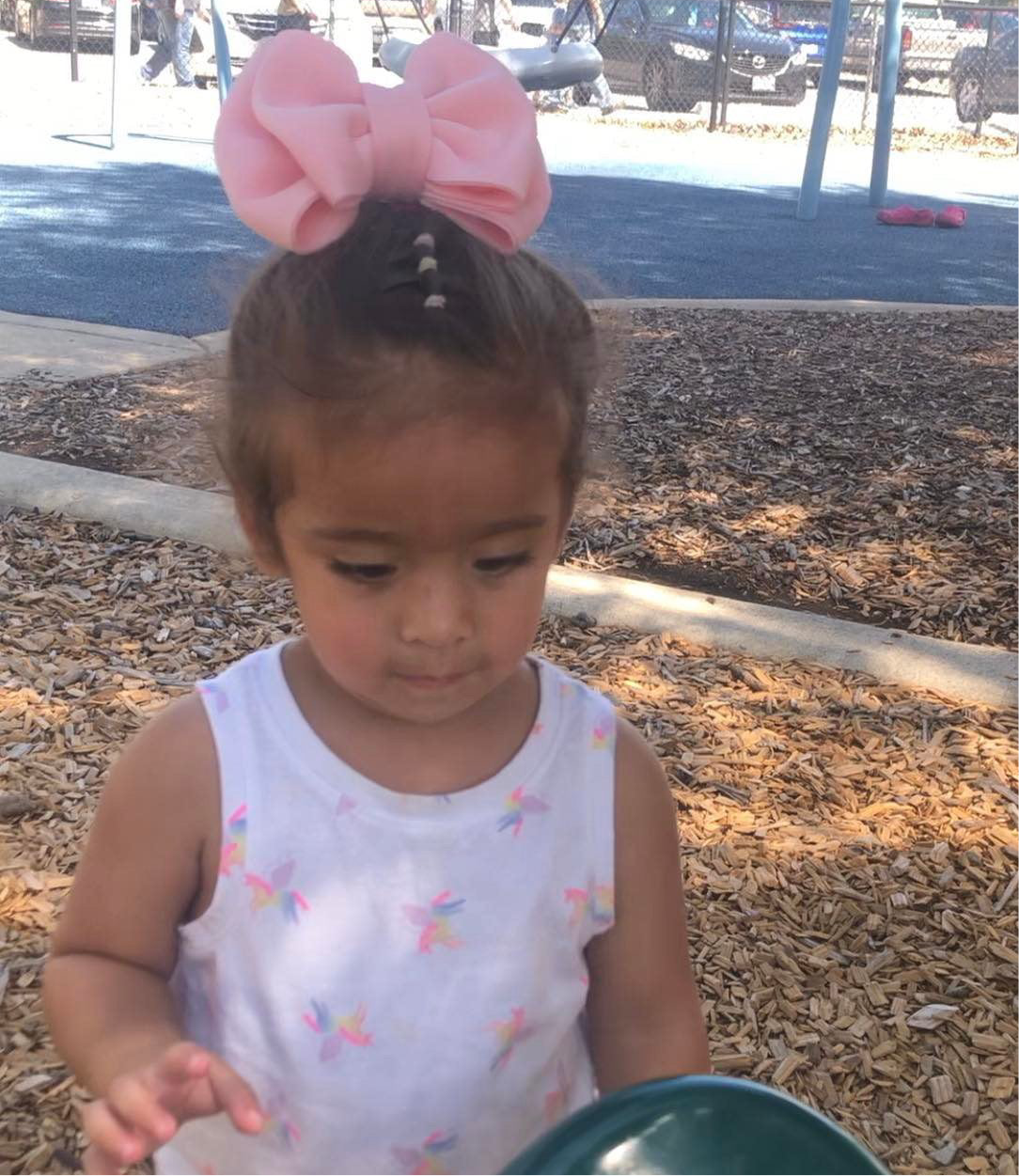 5.5” Double Puffy Bows