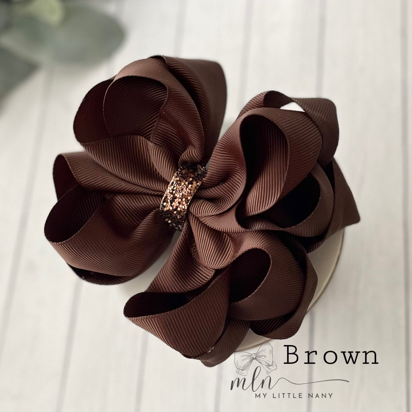 Basic Color Bloom Bows